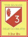 3rd Inf Bn Flash and Unit Motto "Dilis Go Brath"