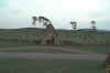 Old Curragh Graveyard.